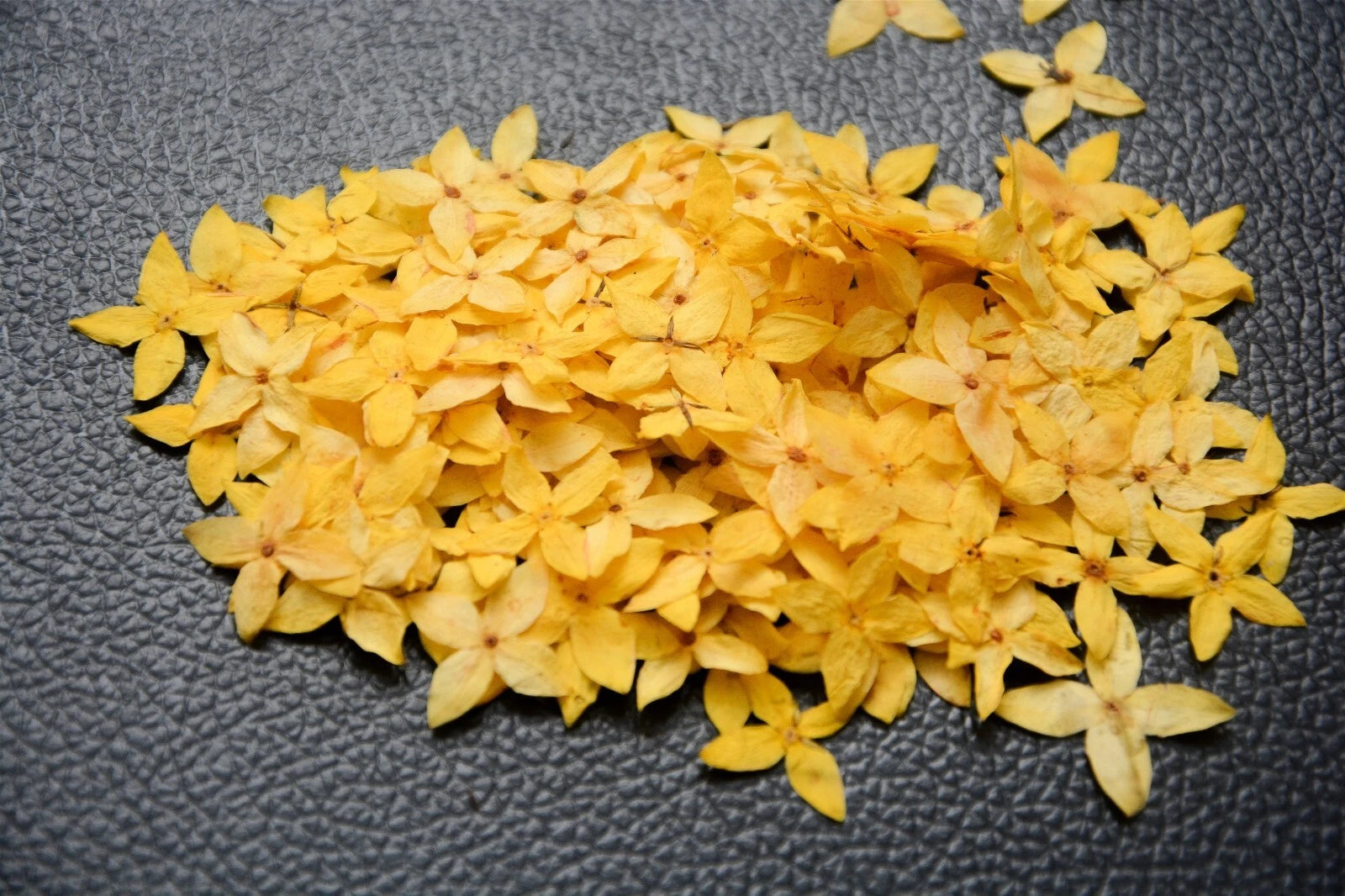 250x Yellow Pressed Flowers Small 1.8cm — Natural Dried Floral Resin Craft Decor