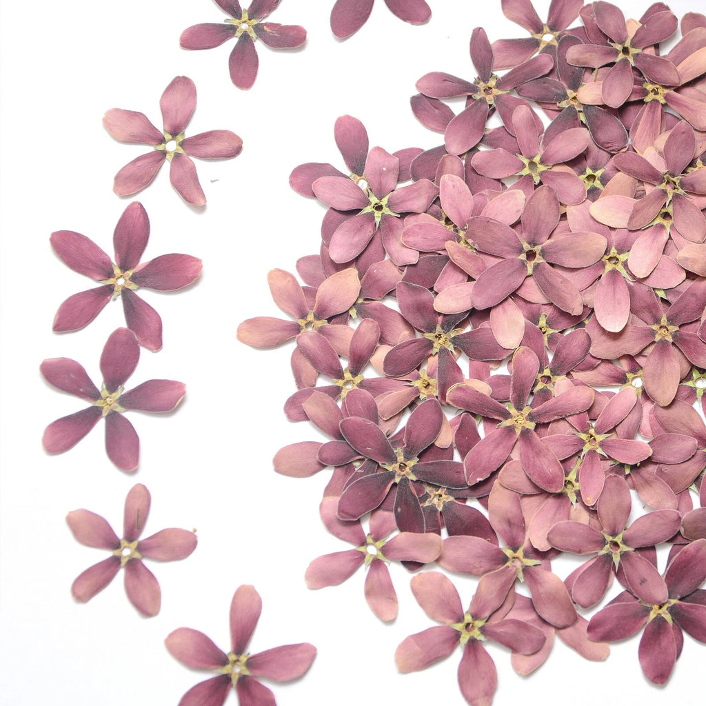 Natural Pressed Purple Flowers — Dried Real Flowers for Resin Crafts