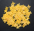 250x Yellow Pressed Flowers Small 1.8cm — Natural Dried Floral Resin Craft Decor